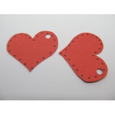 Earring Display Carton